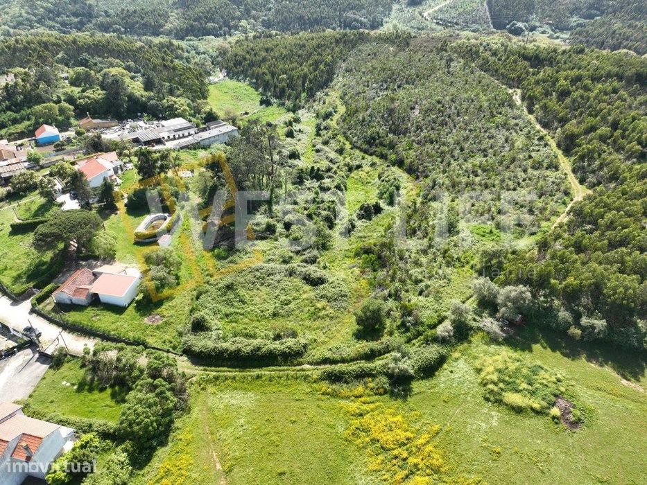 Terreno Rústico de 22312m2 - Pinhal, Agrícola e agroflorestal - EXC...