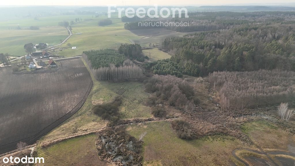 Siedlisko na sprzedaż z działką 4,23 ha.