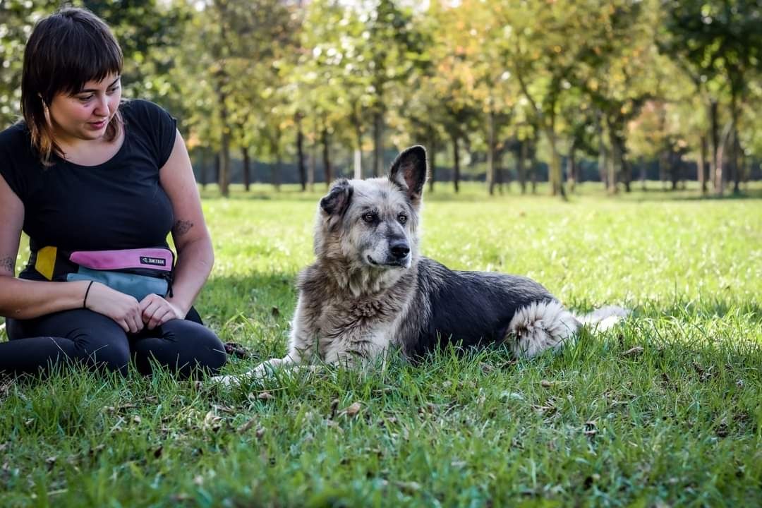 Starsza dama szuka ciepłego domu na jesień życia! Podarujesz jej Dom?