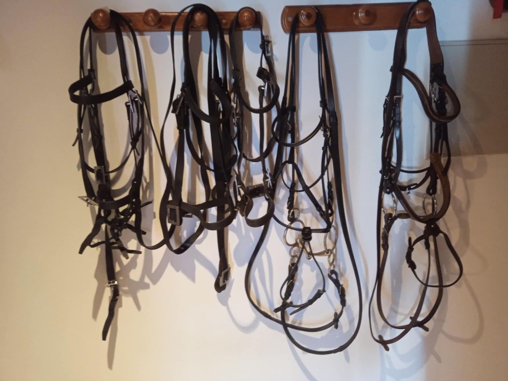 Vendo este material equestre