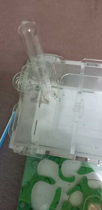 формікарій (мурашина ферма)