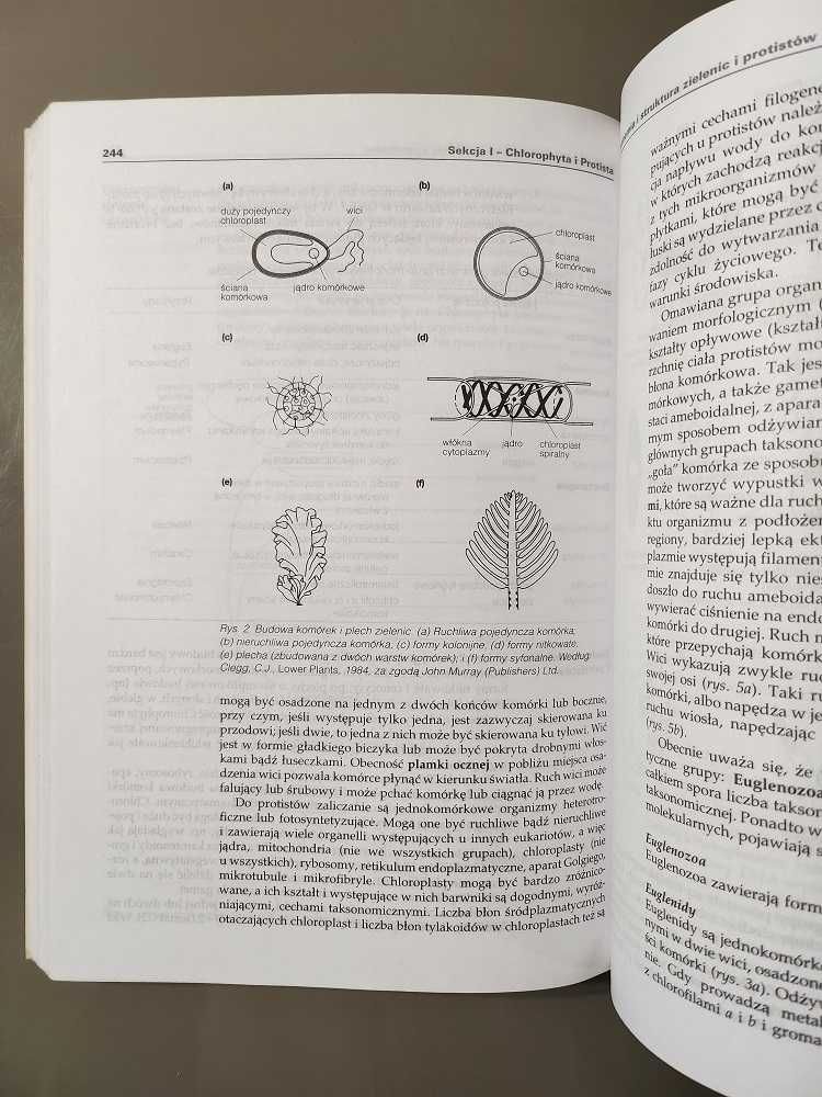 Krótkie wykłady Mikrobiologia R. Killington K. Graeme-Cook J. Nicklin