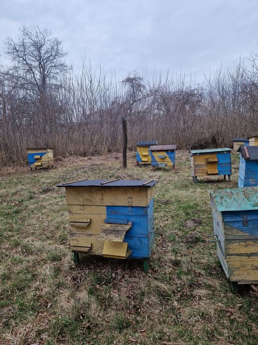 Продам вулик український