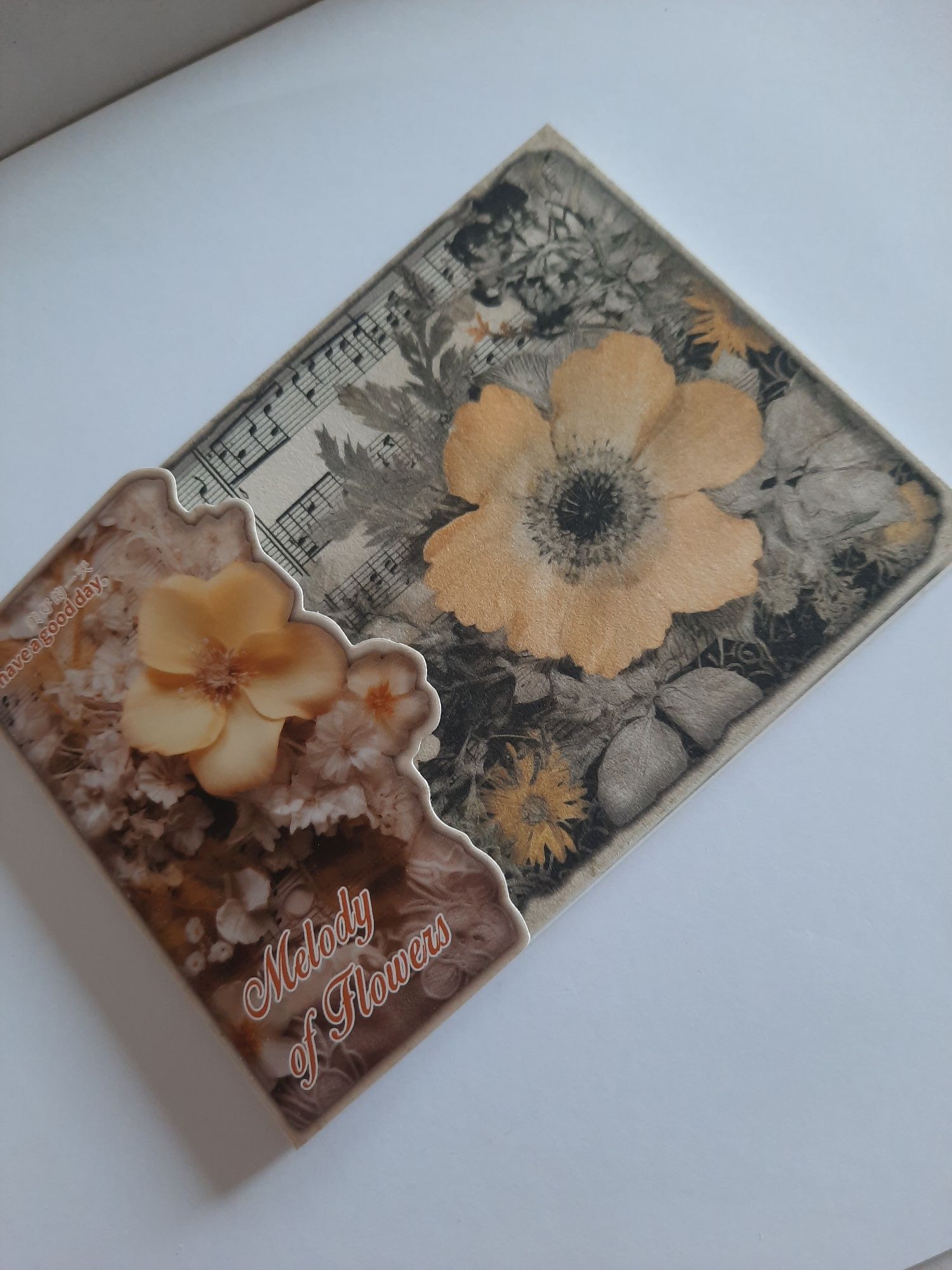 10x 3 folhas de papel para artesanato e decoração.  Estampas florais.
