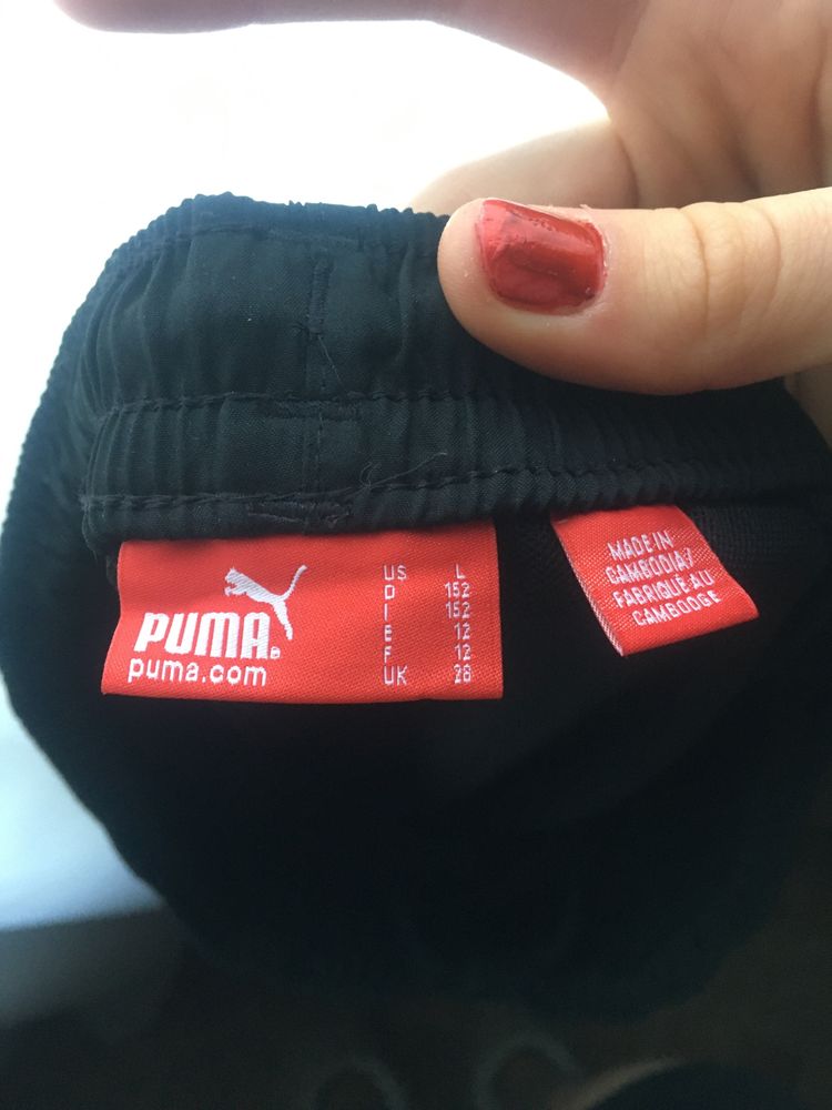 штаны.   puma