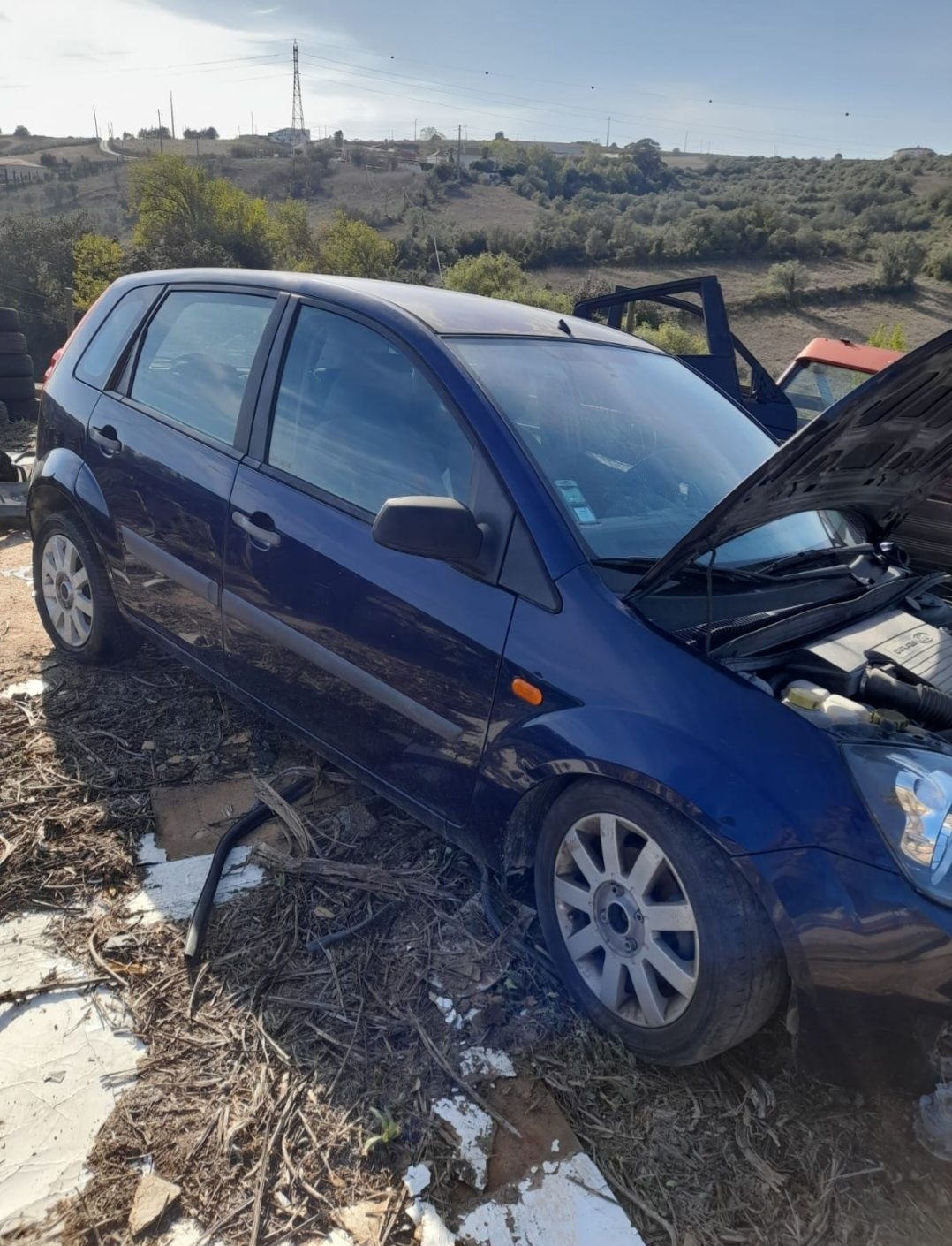 Ford fiesta MK5,1.25.16v peças