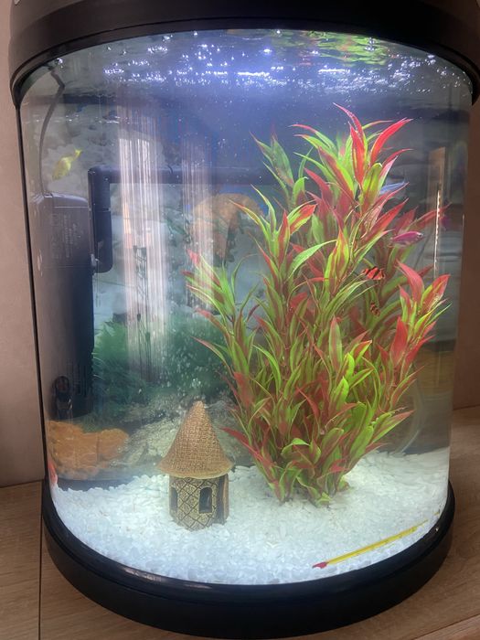 Продам акваріум з панорамним склом resun mini moon 450