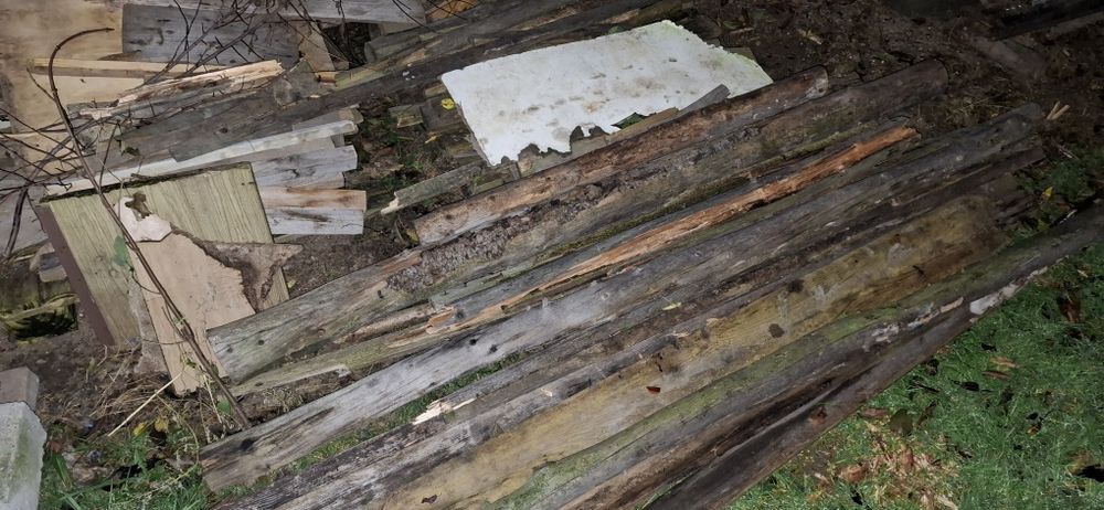 Drzewo opałowe mokre