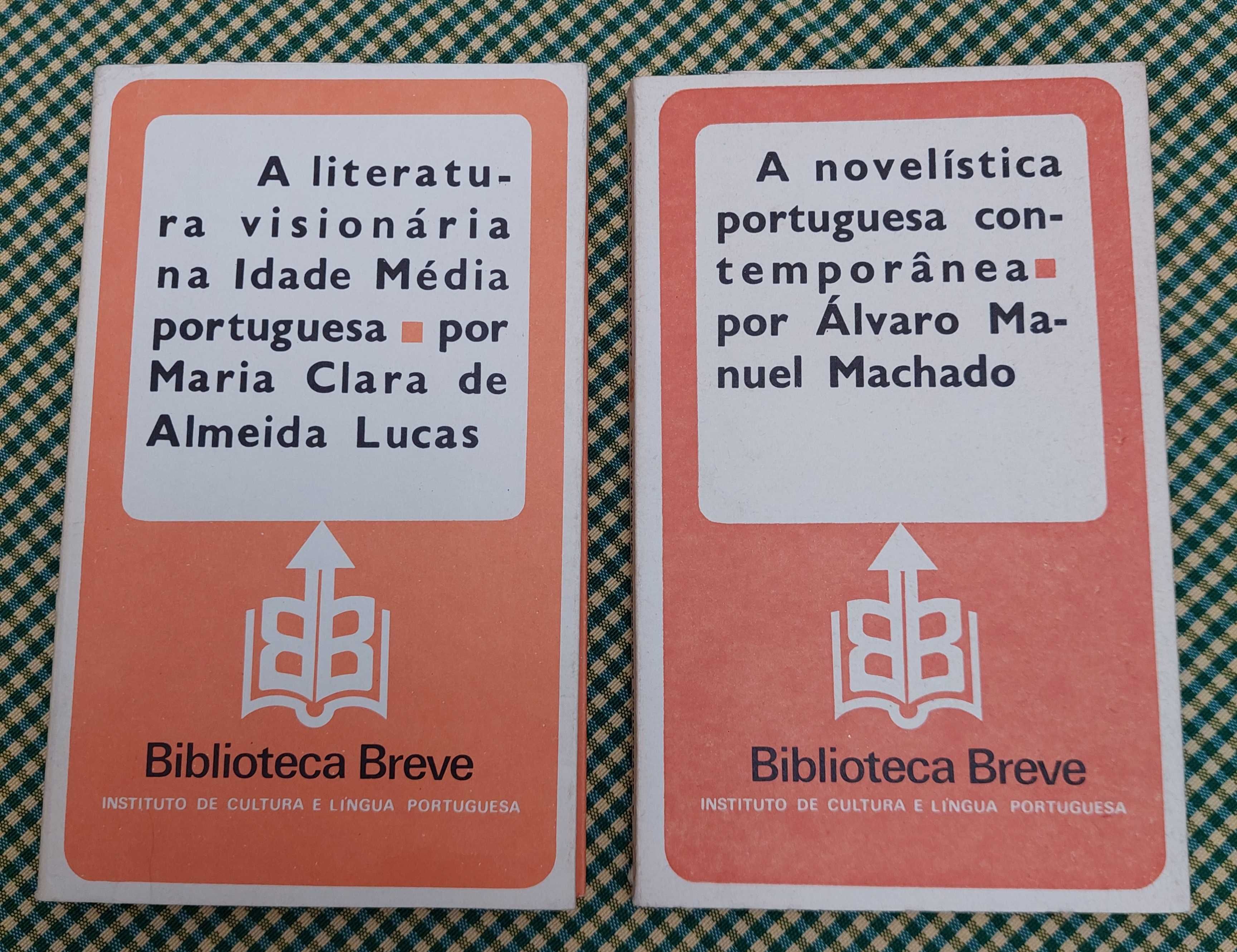 Literatura visionária e Novelística portuguesa contemporânea
