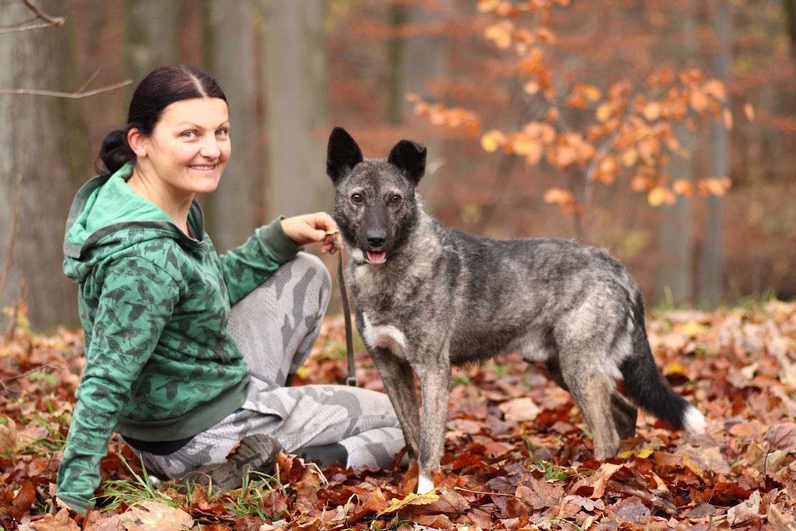 GUFI - boi się schroniska, ale tuli się do ludzi. {FILMIKI}