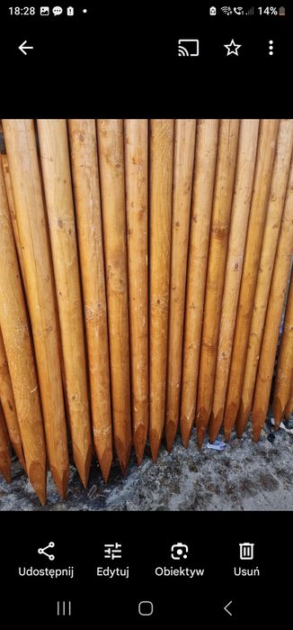 Paliki kołki drągi