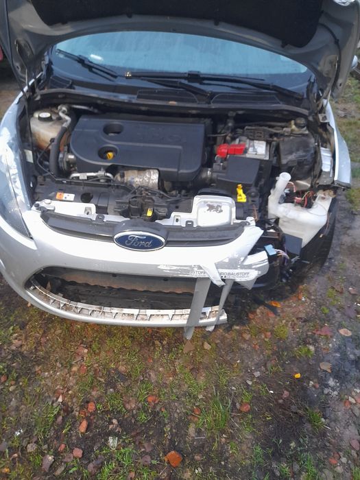 Ford Fiesta 1.6 tdci 95km