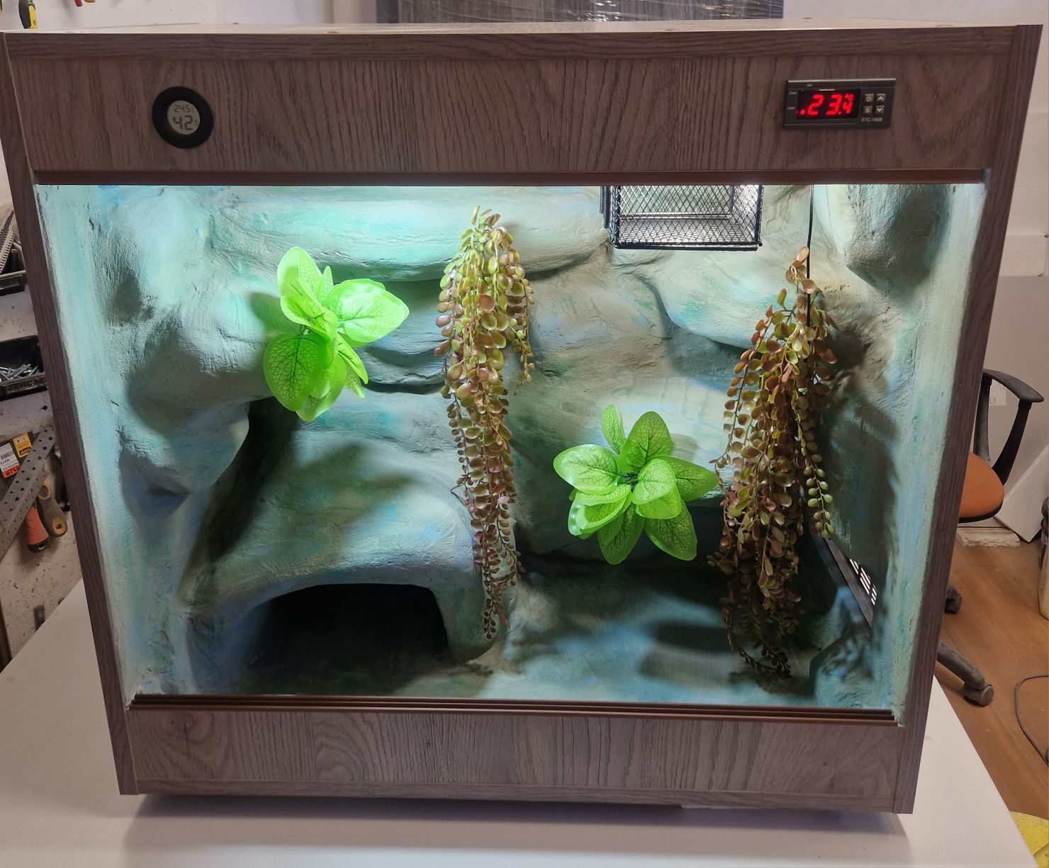Dostępne terrarium dla węża gekona orzęsionego 75x40x70 gwarancja