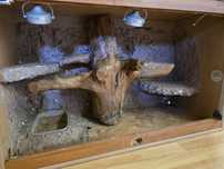 Terrarium 100x41x64 REZERWACJA