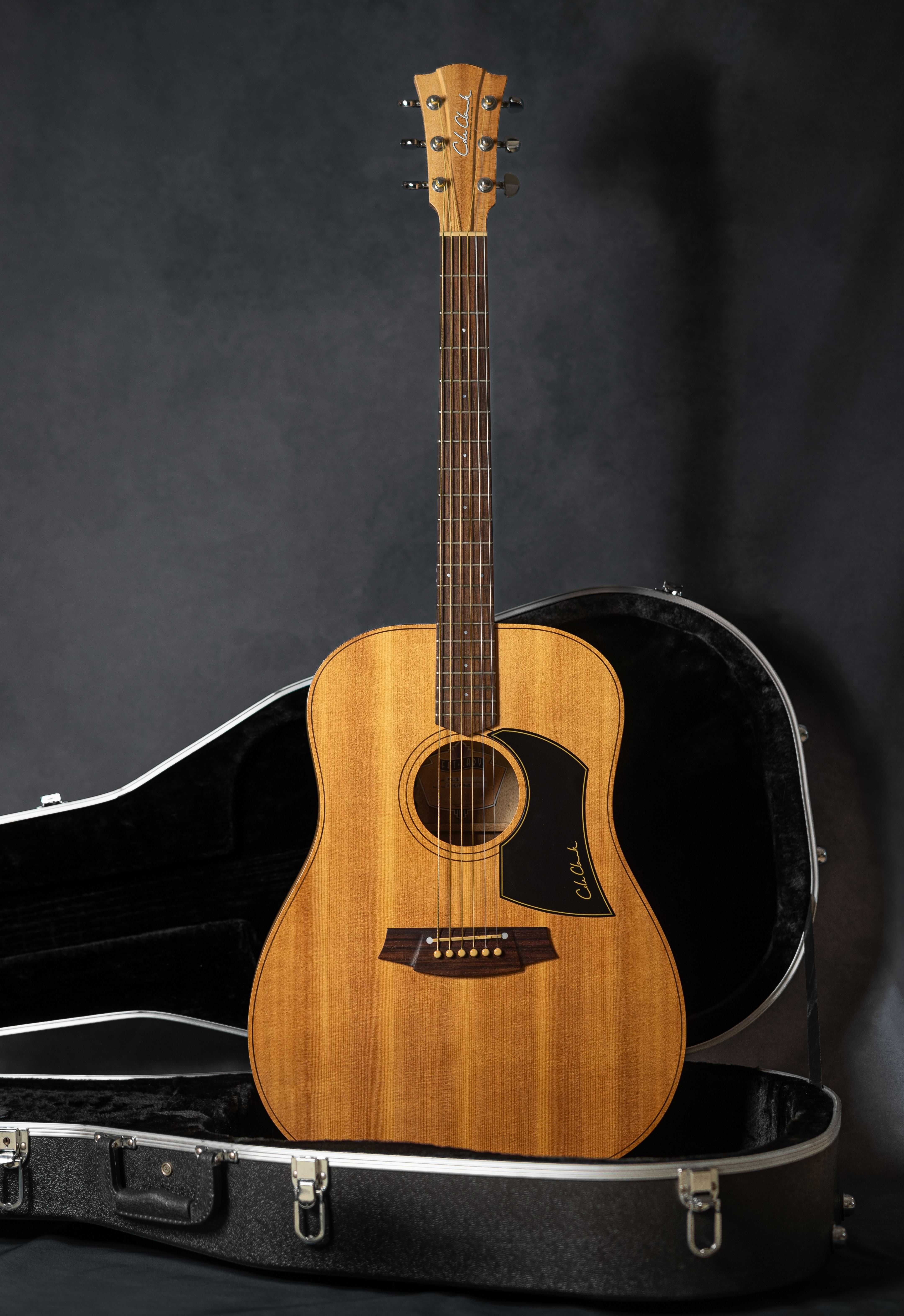 gitara akustyczna Coole Clark FL1