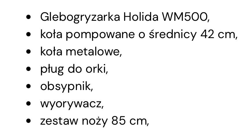 Glebogryzarka Holida WM500