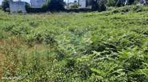 Terreno Em Santa Marta Com 1800 M2