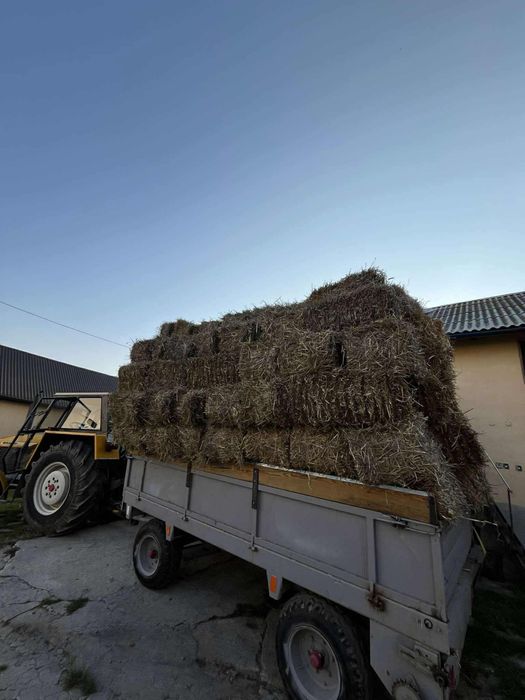 Sprzedam slome w małych kostkach 2025