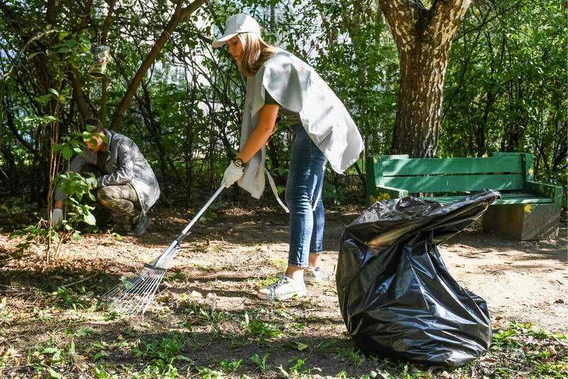 Уборка расчистка участка Удаление деревьев измельчитель веток вывоз