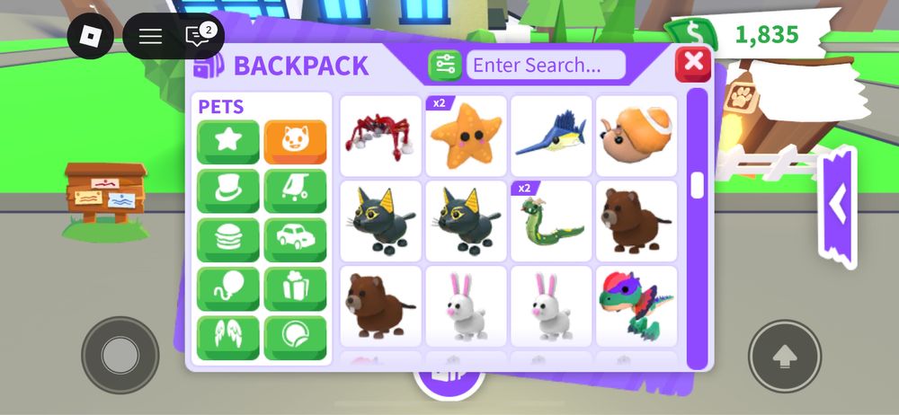 Pety adopt me roblox pets