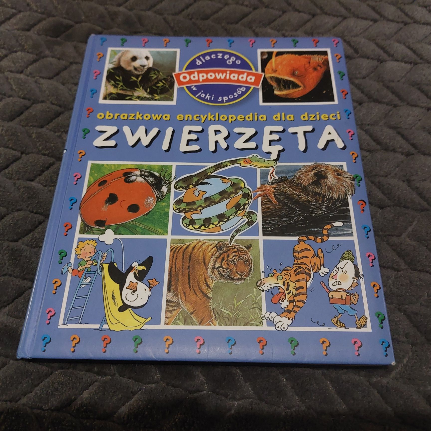 Zwierzęta Obrazkowa encyklopedia dla dzieci odpowiada dlaczego