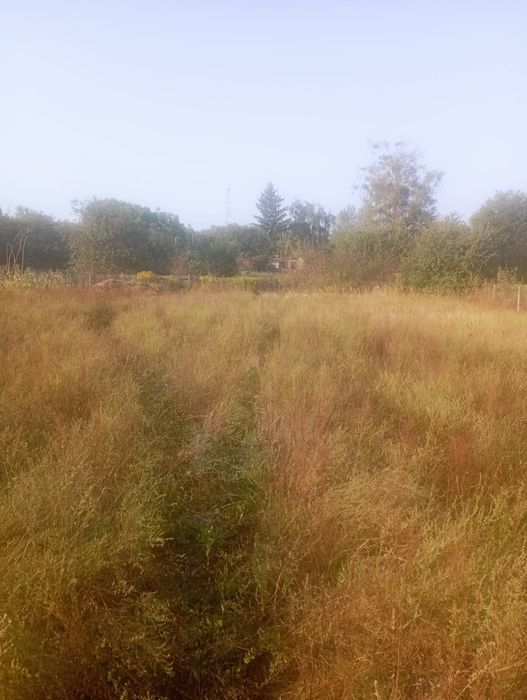 Продаю земельну ділянку від власника