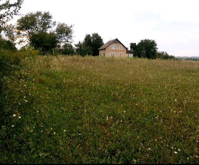 Земельна ділянка