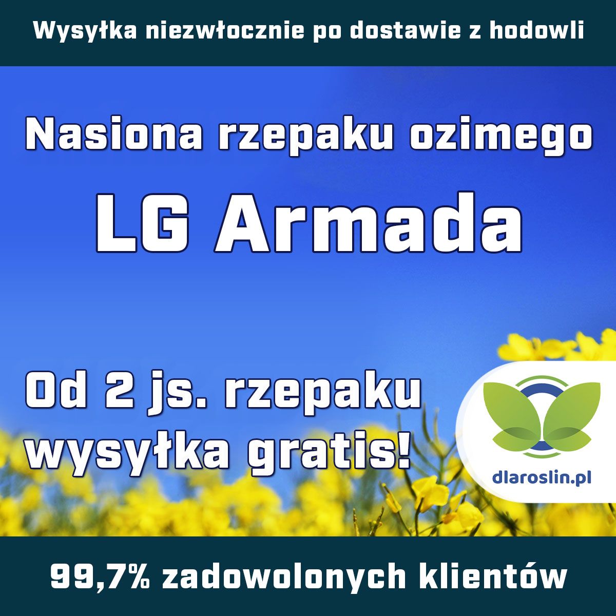 Rzepak ozimy LG Armada F1 C1, opak. 1,5 mln.n. Integral Pro i Lumiposa