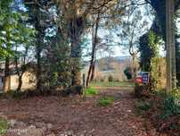 Terreno Agrícola - Figueiredo