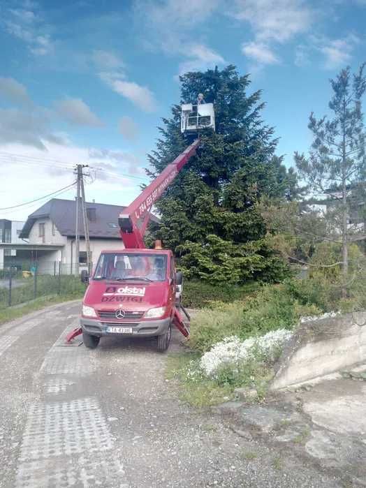 Usługi dźwigowe 30-130 ton dźwig żuraw zwyżka podnośnik koszowy