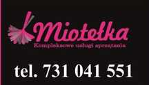 Mycie kostki brukowej,elewacji,mycie okien,pranie,sprzątanie biur