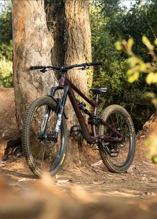Specialized status 160 enduro
