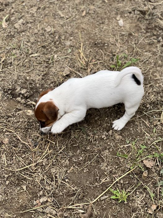 Гарнюсенька дівчинка чекає на батьків