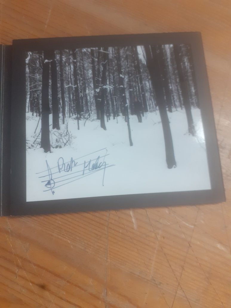 Płyta PatrickThePan
...niczym jak liśćmi
Z autografem.
Sprawna.