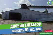 Продаж діючого елеватору, 51 тис. тон.