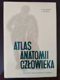 Atlas anatomii człowieka