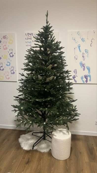 Ялинка віденська 2.10