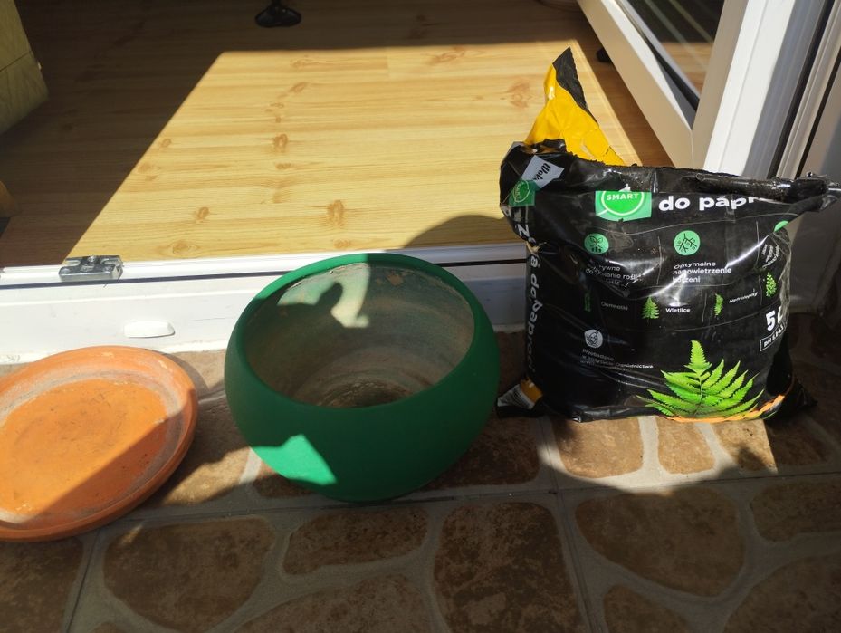 Sama ziemia do paproci nowa 2,5/