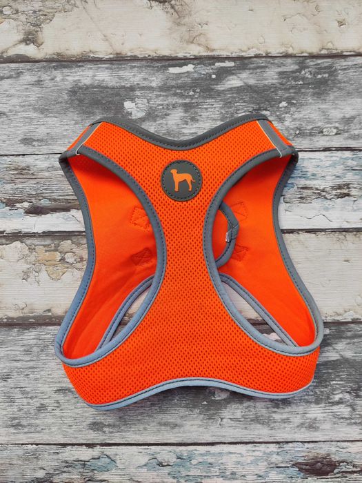 Dog Fantasy szelki neoprenowe dla szczeniąt neonowe pomarańczowe