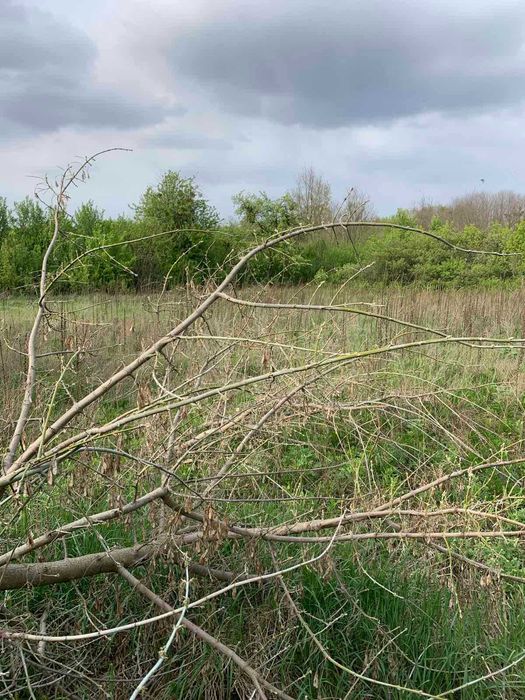 Продам срочно землю