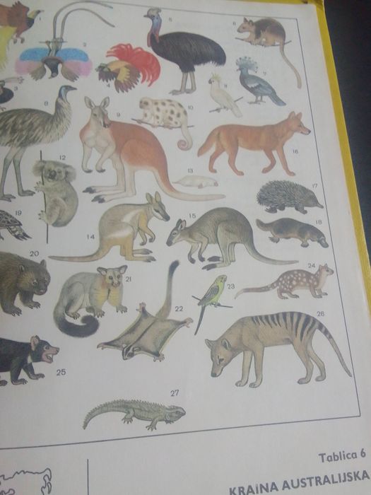 Biologia, klasa 3 L.O.A. Jasiński i inni