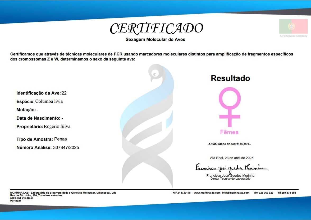Pombos picas  sexados