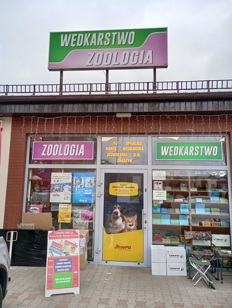Karaś Koi -Ryby stawowe
