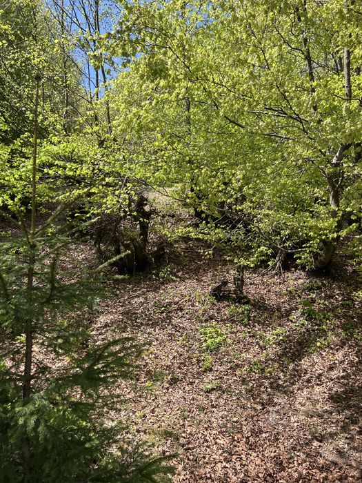 Крута локація у селі Мерешор ділянка 7 сотих