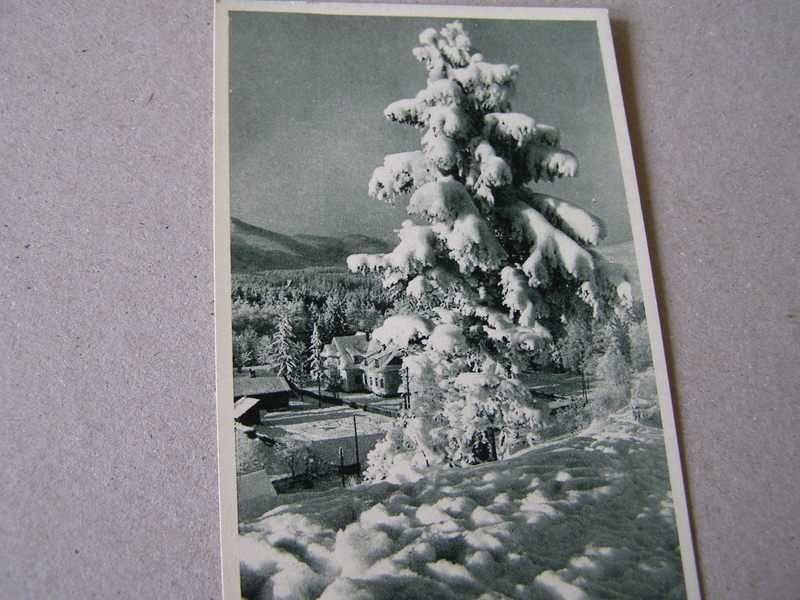 Zakopane -Ośniezony smerk - kartka 1937r.