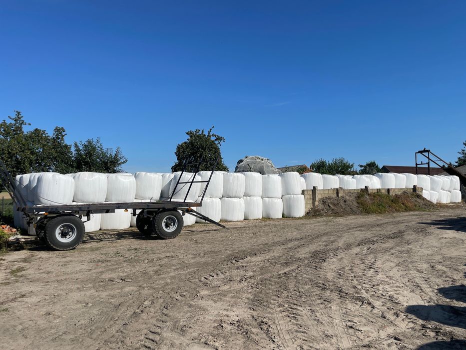 Siano sianokiszonka 2025