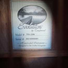 Tanglewood Evolution TFA CSM (Acoustic Guitar, Guitarra Acoustica)