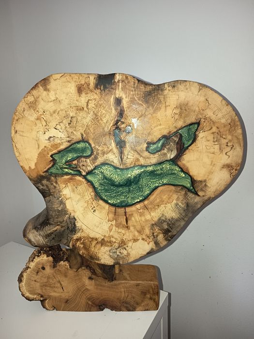 Plaster kasztanowca zielona żywica