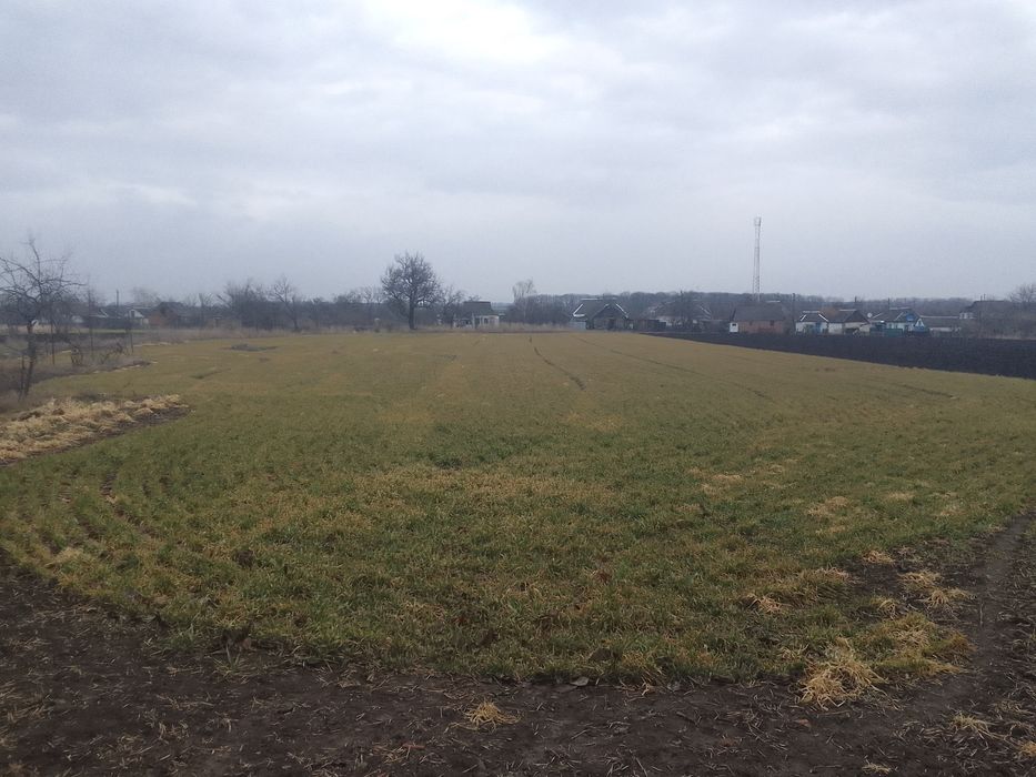 Продається дом..