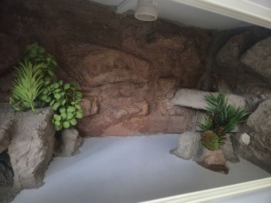 Nowe Gotowe Terrarium 80x40x40